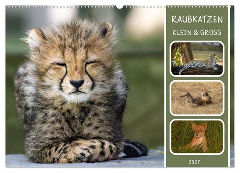 Raubkatzen - groß & klein (Wandkalender 2027 DIN A2 quer), CALVENDO Monatskalender