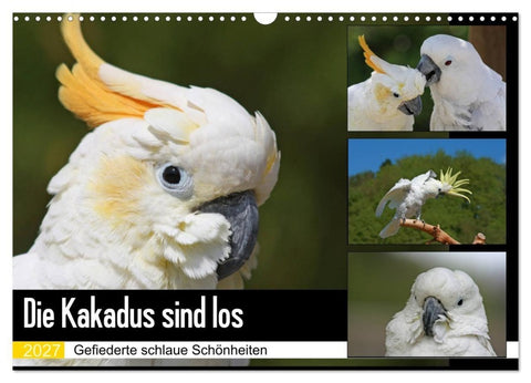 Die Kakadus sind los (Wandkalender 2027 DIN A3 quer), CALVENDO Monatskalender