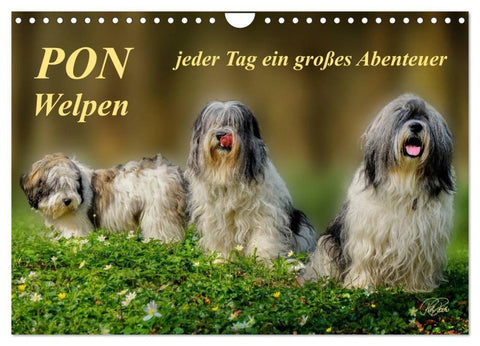 PON - Welpen, jeder Tag ein großes Abenteuer (Wandkalender 2027 DIN A4 quer), CALVENDO Monatskalender