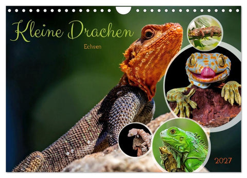 Kleine Drachen - Echsen (Wandkalender 2027 DIN A4 quer), CALVENDO Monatskalender