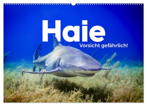 Haie - Vorsicht gefährlich! (Wandkalender 2026 DIN A2 quer), CALVENDO Monatskalender