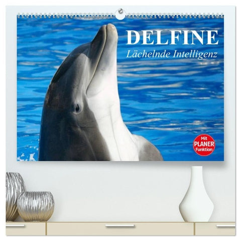 Delfine - Lächelnde Intelligenz (hochwertiger Premium Wandkalender 2027 DIN A2 quer), Kunstdruck in Hochglanz