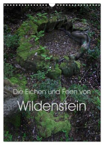 Die Eichen und Feen von Wildenstein (Wandkalender 2027 DIN A3 hoch), CALVENDO Monatskalender