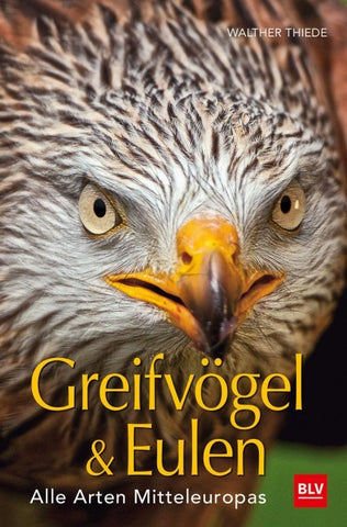 BLV Greifvögel & Eulen