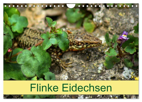 Flinke Eidechsen (Wandkalender 2027 DIN A4 quer), CALVENDO Monatskalender