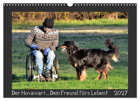 Der Hovawart... Dein Freund fürs Leben! (Wandkalender 2027 DIN A3 quer), CALVENDO Monatskalender