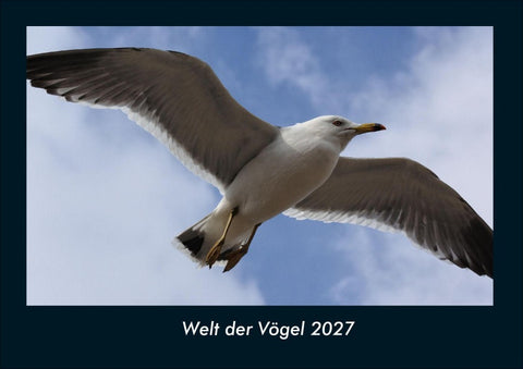 Welt der Vögel 2027 Fotokalender DIN A4