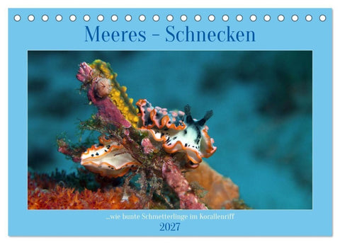 Meeres-Schnecken (Tischkalender 2027 DIN A5 quer), CALVENDO Monatskalender