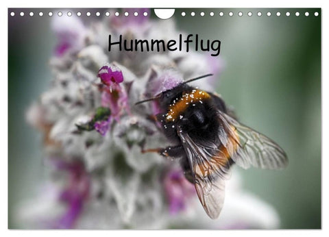 Hummelflug (Wandkalender 2027 DIN A4 quer), CALVENDO Monatskalender