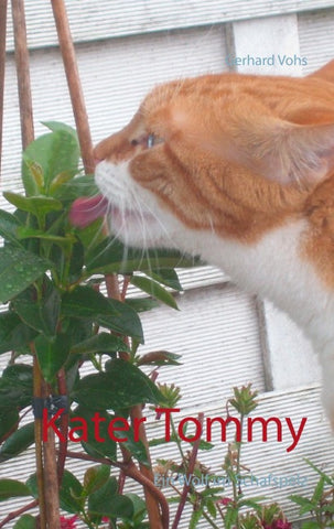 Kater Tommy