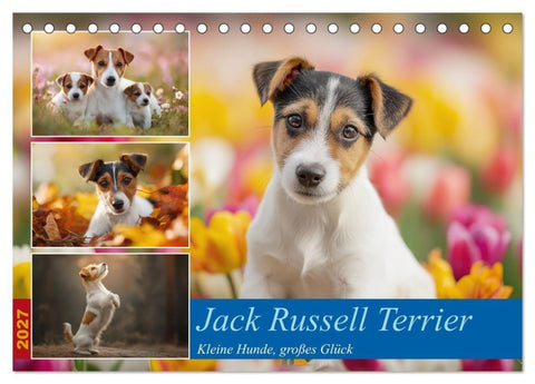 Jack Russell Terrier (Tischkalender 2027 DIN A5 quer), CALVENDO Monatskalender