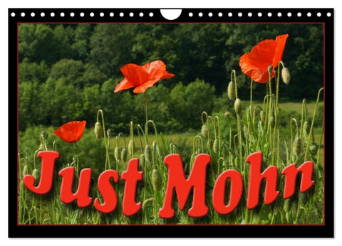 Just Mohn (Wandkalender 2027 DIN A4 quer), CALVENDO Monatskalender