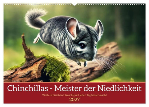 Chinchillas - Meister der Niedlichkeit (Wandkalender 2027 DIN A2 quer), CALVENDO Monatskalender