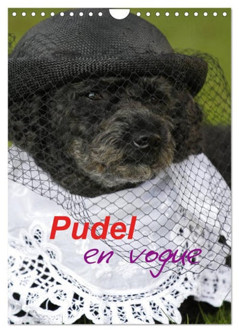 Pudel en vogue (Wandkalender 2026 DIN A4 hoch), CALVENDO Monatskalender