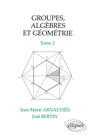 Groupes, algèbres et géométrie - Tome 2