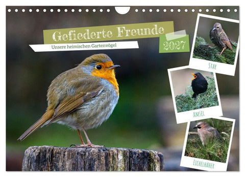 Gefiederte Freunde - Unsere heimischen Gartenvögel (Wandkalender 2027 DIN A4 quer), CALVENDO Monatskalender
