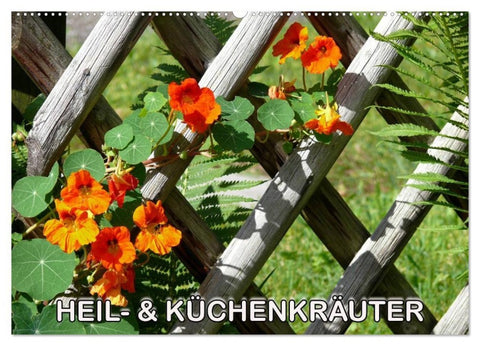Heil- und Küchenkräuter (Wandkalender 2027 DIN A2 quer), CALVENDO Monatskalender