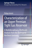 Characterization of an Upper Permian Tight Gas Reservoir