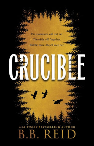 Crucible