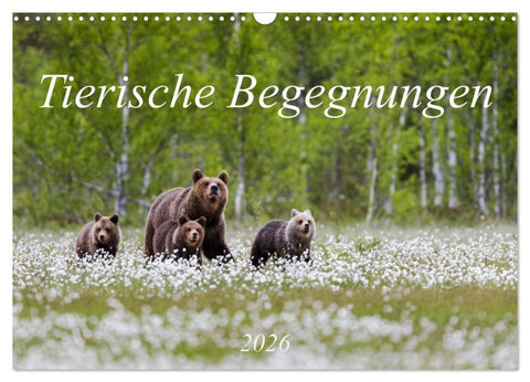 Tierische Begegnungen (Wandkalender 2026 DIN A3 quer), CALVENDO Monatskalender