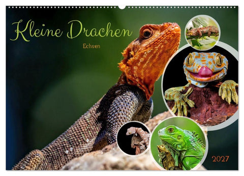 Kleine Drachen - Echsen (Wandkalender 2027 DIN A2 quer), CALVENDO Monatskalender
