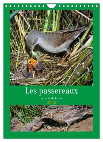 Les passereaux à l'orée de la vie (Calendrier mural 2026 DIN A4 horizontal), CALVENDO calendrier mensuel