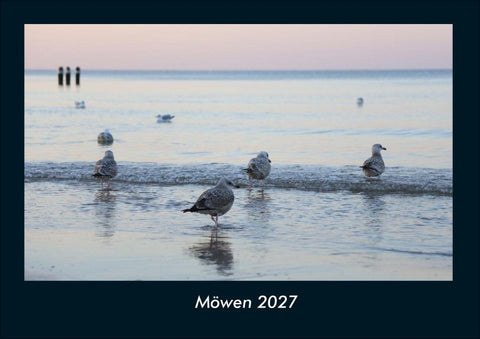Möwen 2027 Fotokalender DIN A4