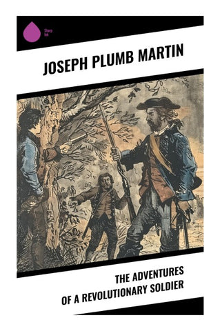 The Adventures of a Revolutionary Soldier