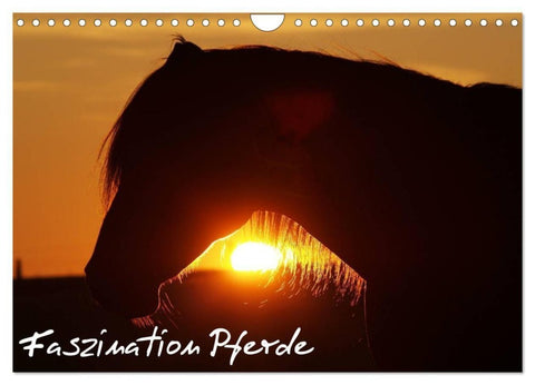 Faszination Pferde (Wandkalender 2027 DIN A4 quer), CALVENDO Monatskalender