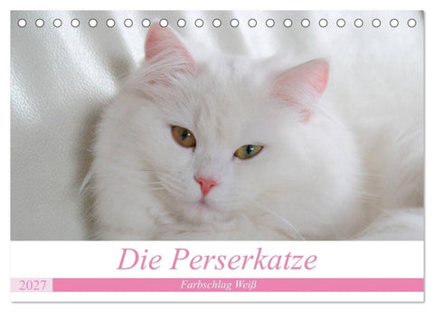 Die Perserkatze - Farbschlag Weiß (Tischkalender 2027 DIN A5 quer), CALVENDO Monatskalender