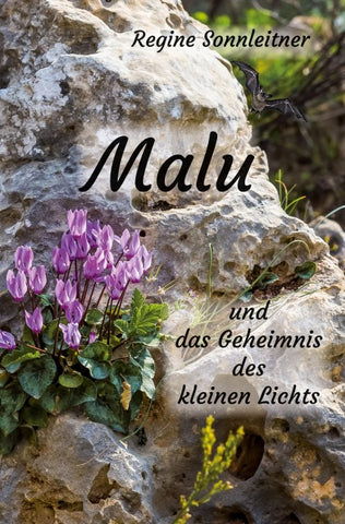 Malu und das Geheimnis des kleinen Lichts