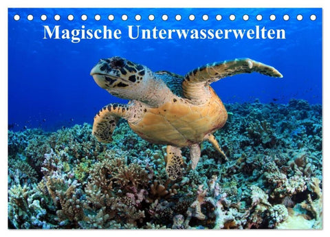Magische Unterwasserwelten (Tischkalender 2027 DIN A5 quer), CALVENDO Monatskalender