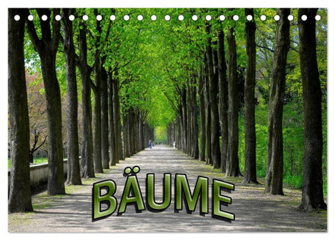 Bäume 2026 (Tischkalender 2026 DIN A5 quer), CALVENDO Monatskalender