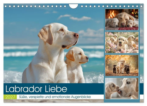 Labrador Liebe (Wandkalender 2027 DIN A4 quer), CALVENDO Monatskalender