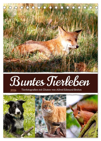 Buntes Tierleben (Tischkalender 2026 DIN A5 hoch), CALVENDO Monatskalender