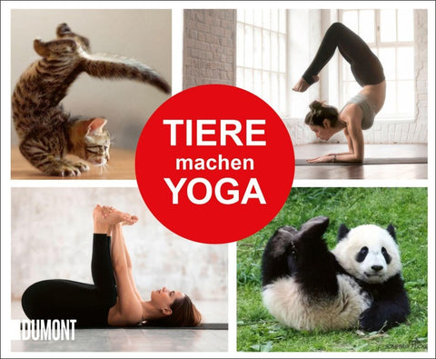 Tiere machen Yoga