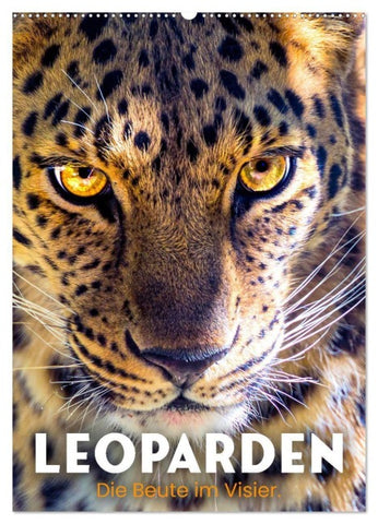 Leoparden - Die Beute im Visier. (Wandkalender 2027 DIN A2 hoch), CALVENDO Monatskalender