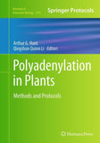Polyadenylation in Plants
