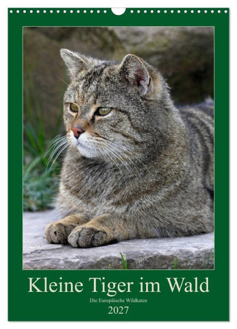 Kleine Tiger im Wald (Wandkalender 2027 DIN A3 hoch), CALVENDO Monatskalender