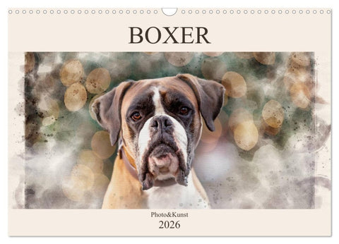 Boxer Photo&Kunst (Wandkalender 2026 DIN A3 quer), CALVENDO Monatskalender