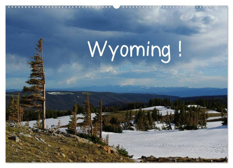 Wyoming! (Wandkalender 2027 DIN A2 quer), CALVENDO Monatskalender