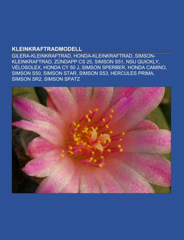 Kleinkraftradmodell