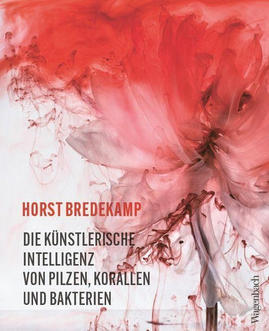 Die künstlerische Intelligenz von Pilzen, Korallen und Bakterien