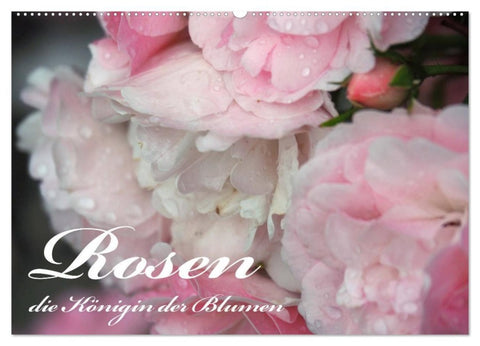Rosen, die Königin der Blumen (Wandkalender 2027 DIN A2 quer), CALVENDO Monatskalender