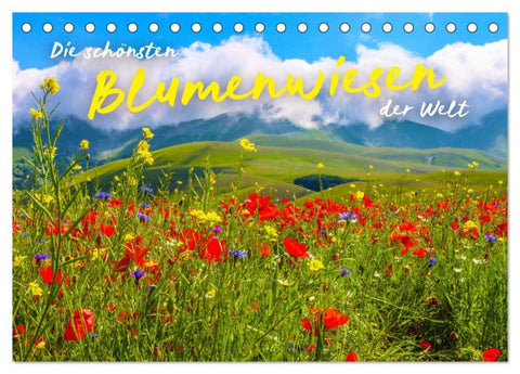 Die schönsten Blumenwiesen der Welt (Tischkalender 2026 DIN A5 quer), CALVENDO Monatskalender