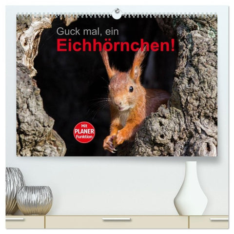 Guck mal, ein Eichhörnchen! (hochwertiger Premium Wandkalender 2027 DIN A2 quer), Kunstdruck in Hochglanz