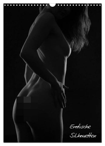 Erotische Silhouetten / CH-Version (Wandkalender 2026 DIN A3 hoch), CALVENDO Monatskalender