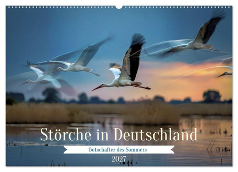 Störche in Deutschland (Wandkalender 2027 DIN A2 quer), CALVENDO Monatskalender
