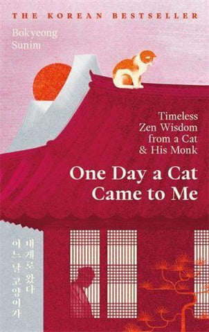 One Day a Cat Came to Me