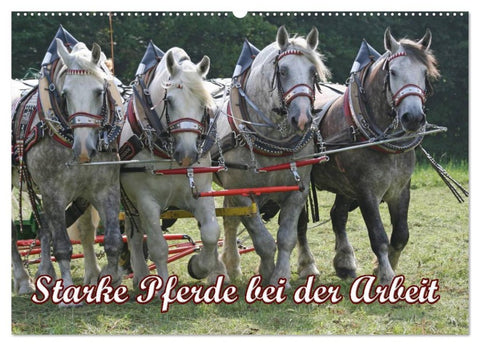 Starke Pferde bei der Arbeit (Wandkalender 2026 DIN A2 quer), CALVENDO Monatskalender